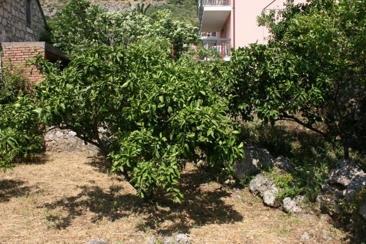 Apartments By The Sea Podaca, Makarska - 6874 מראה חיצוני תמונה
